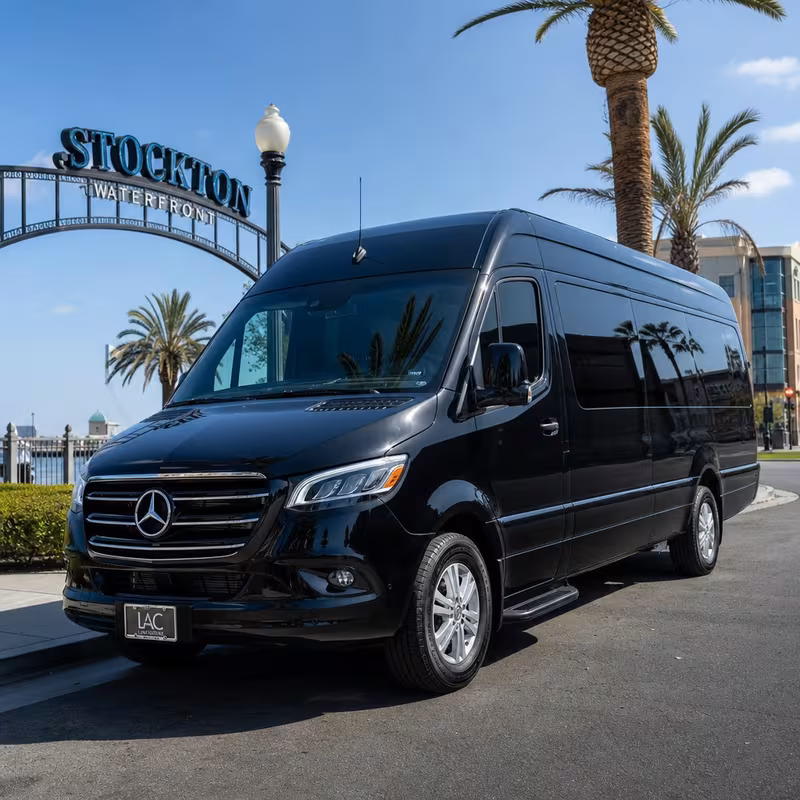 14 Passenger Sprinter Limo